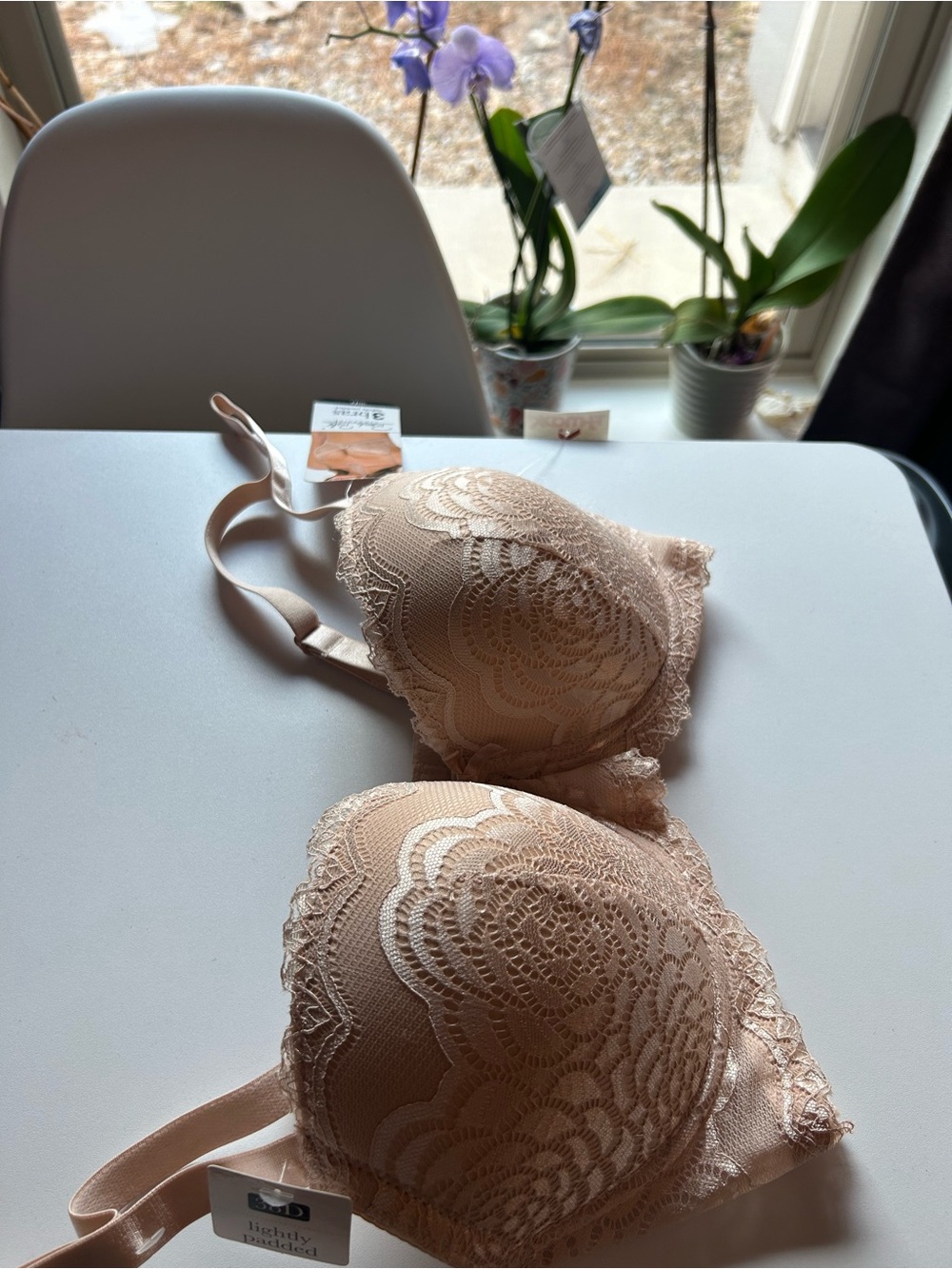 Nude Lace Lightly padded Bra - Nude - Picture 4 of 8